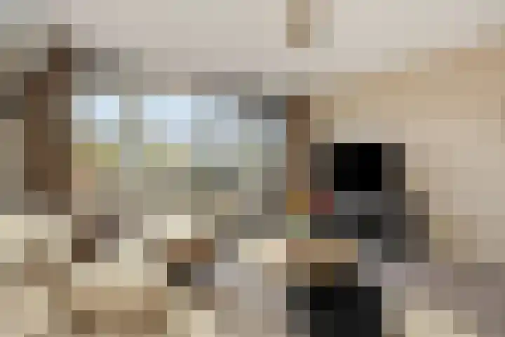 Vlaemsche Hoeve 116 Vlijmen thumbnail 5