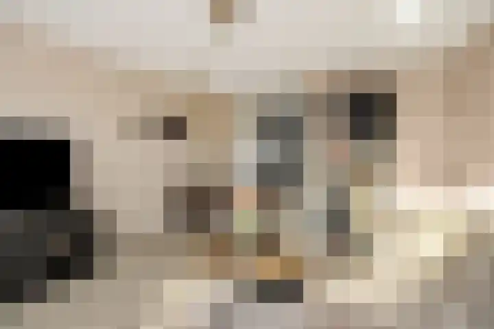 Vlaemsche Hoeve 116 Vlijmen thumbnail 6