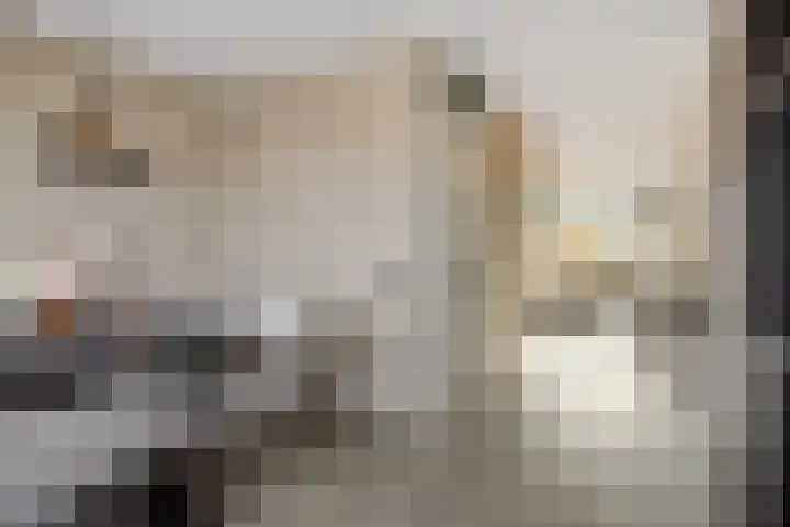 Vlaemsche Hoeve 116 Vlijmen thumbnail 7