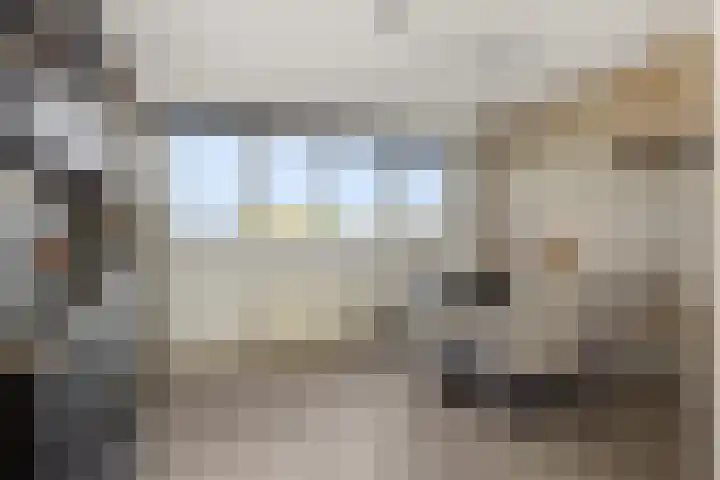 Vlaemsche Hoeve 116 Vlijmen thumbnail 9