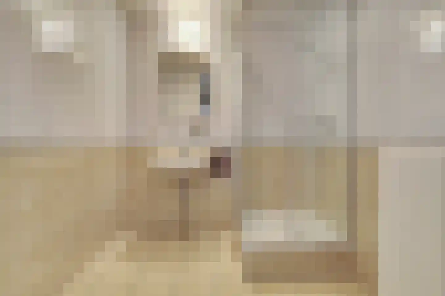 Vlaemsche Hoeve 120 Vlijmen thumbnail 25