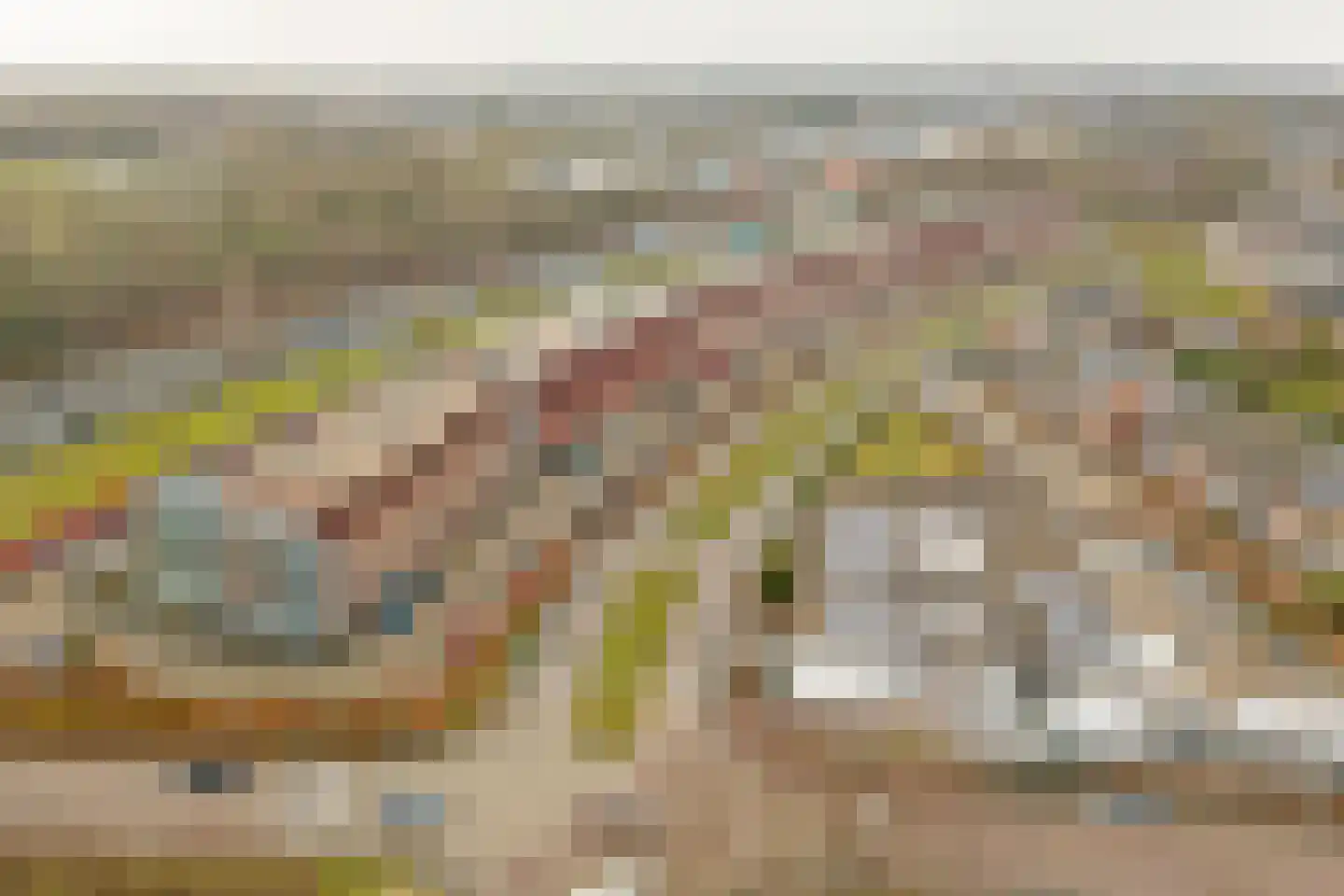 Vlaemsche Hoeve 120 Vlijmen thumbnail 39