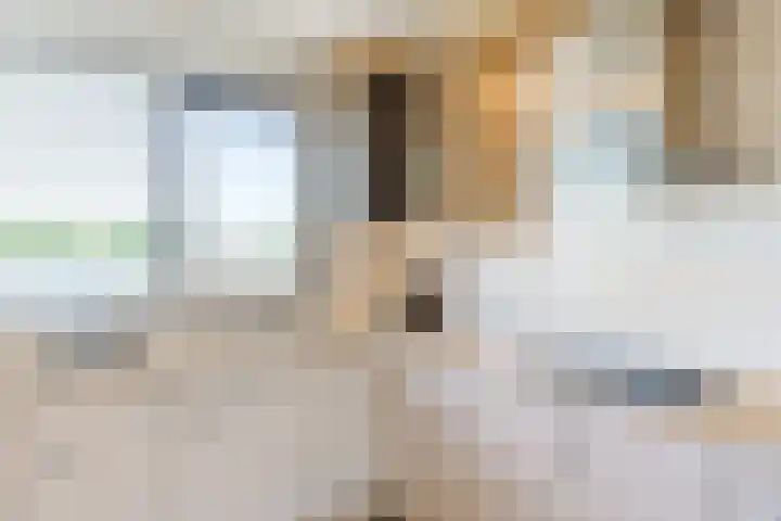 Vlaemsche Hoeve 122 Vlijmen thumbnail 10