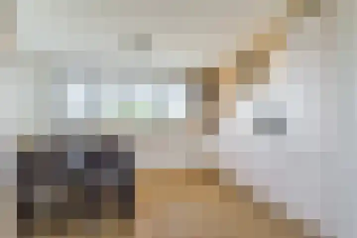 Vlaemsche Hoeve 122 Vlijmen thumbnail 12