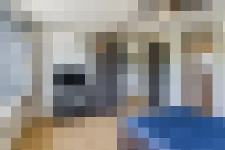 Vlaemsche Hoeve 122 Vlijmen thumbnail 14