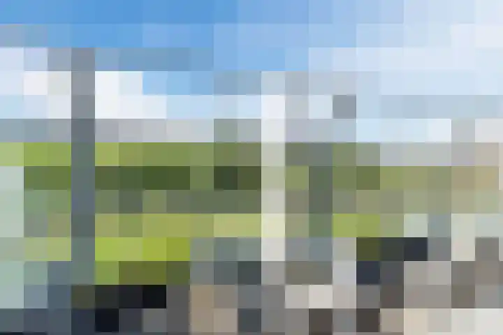 Vlaemsche Hoeve 122 Vlijmen thumbnail 25
