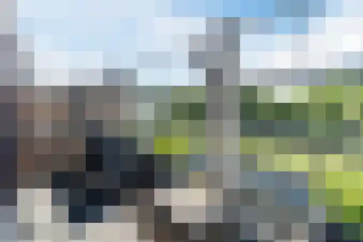 Vlaemsche Hoeve 122 Vlijmen thumbnail 26