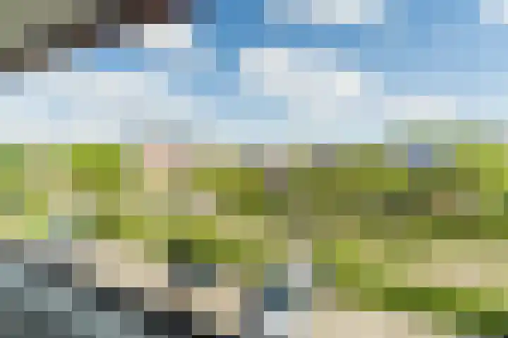 Vlaemsche Hoeve 122 Vlijmen thumbnail 27