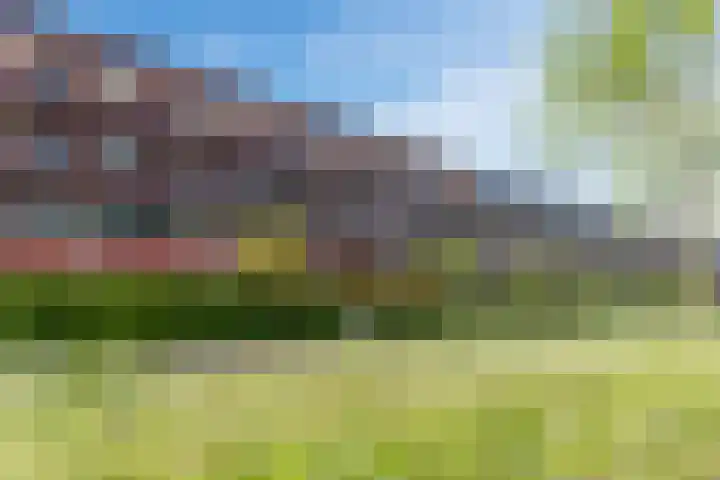 Vlaemsche Hoeve 122 Vlijmen thumbnail 38