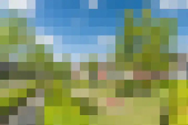 Vlaemsche Hoeve 122 Vlijmen thumbnail 39