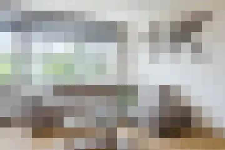 Vlaemsche Hoeve 122 Vlijmen thumbnail 5