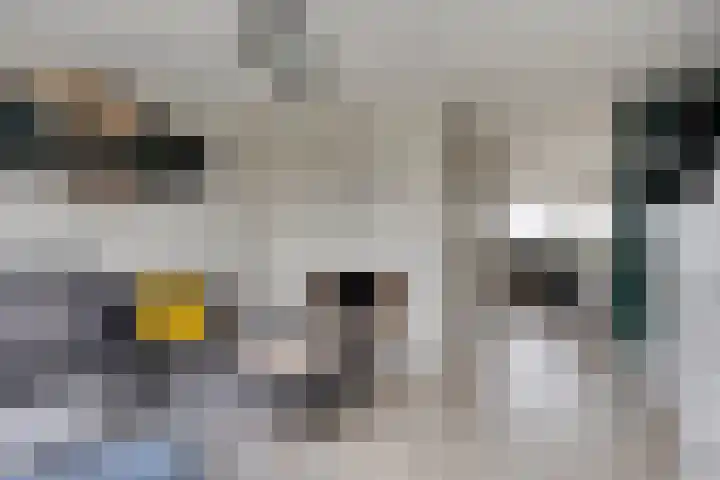 Vlaemsche Hoeve 126 Vlijmen thumbnail 10