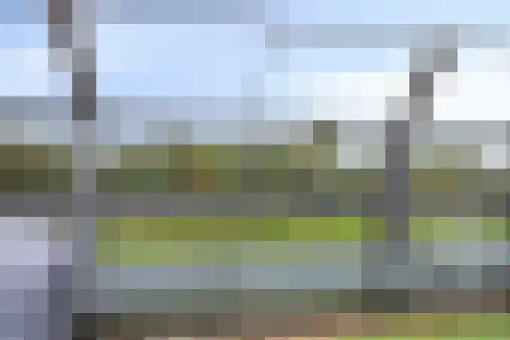 Vlaemsche Hoeve 126 Vlijmen thumbnail 12