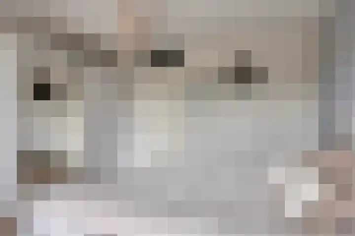 Vlaemsche Hoeve 126 Vlijmen thumbnail 19