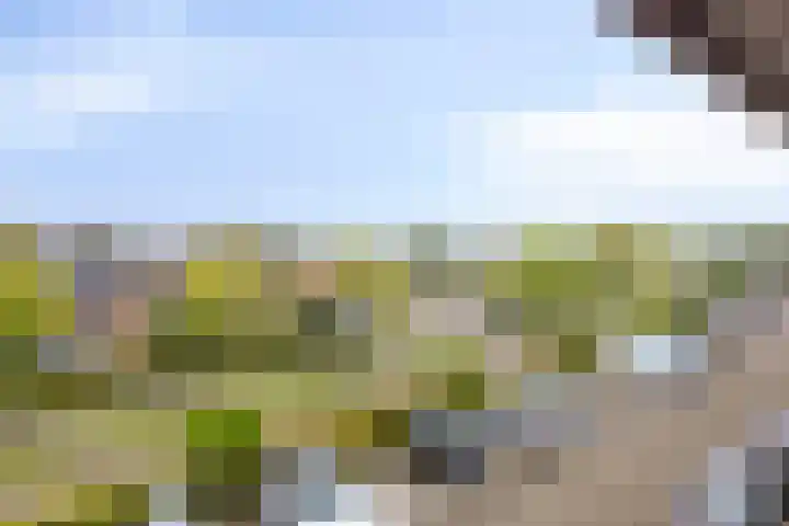 Vlaemsche Hoeve 126 Vlijmen thumbnail 25
