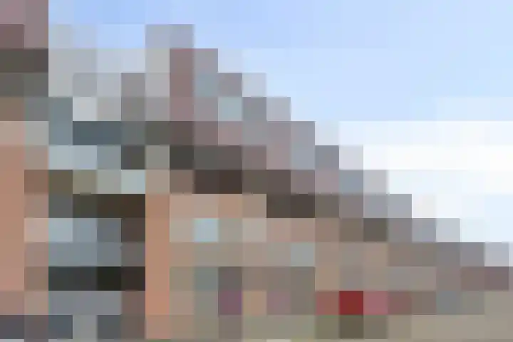 Vlaemsche Hoeve 126 Vlijmen thumbnail 28
