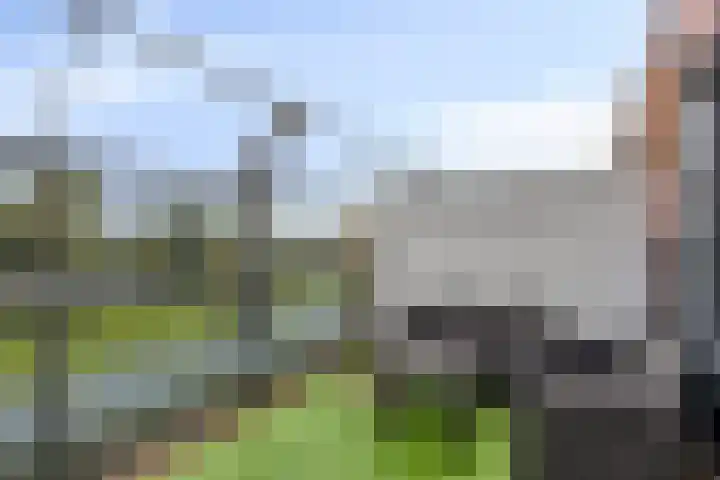 Vlaemsche Hoeve 126 Vlijmen thumbnail 4