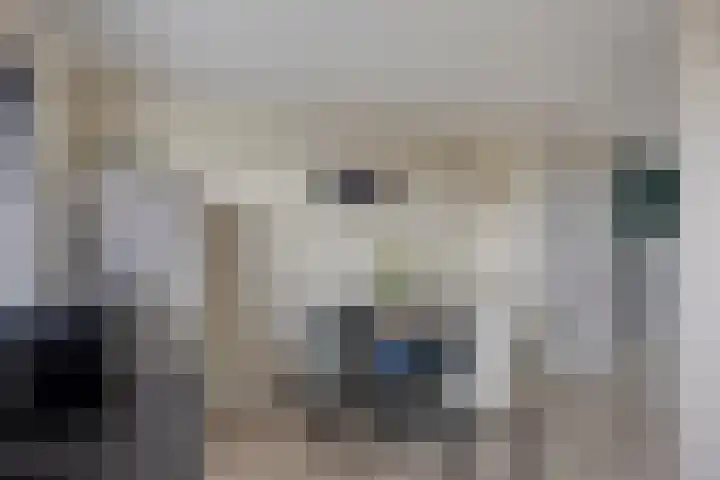 Vlaemsche Hoeve 126 Vlijmen thumbnail 7