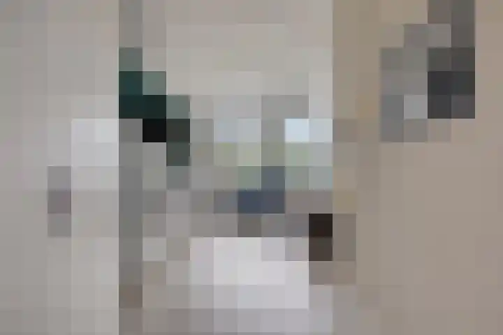 Vlaemsche Hoeve 126 Vlijmen thumbnail 9