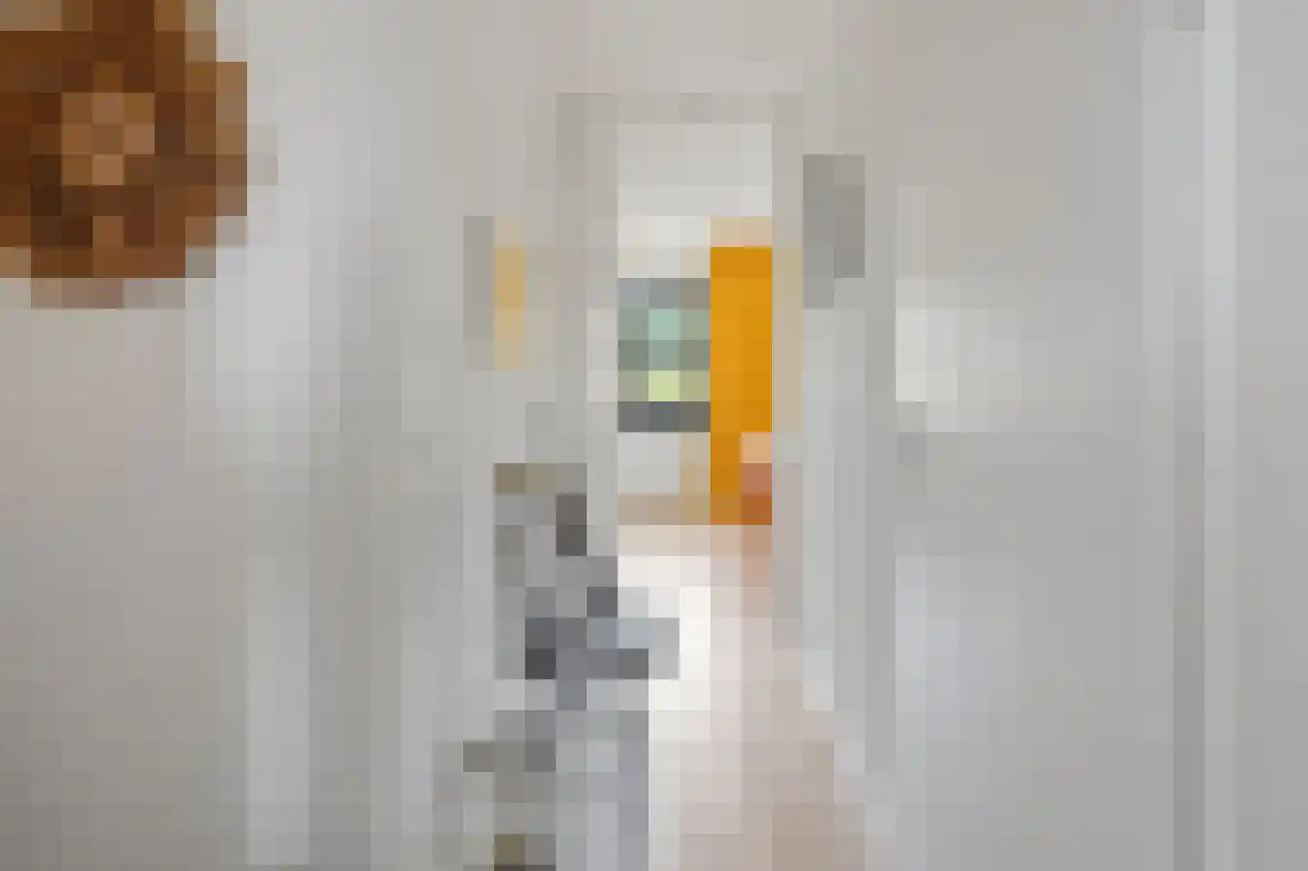 Vlaemsche Hoeve 132 Vlijmen thumbnail 16