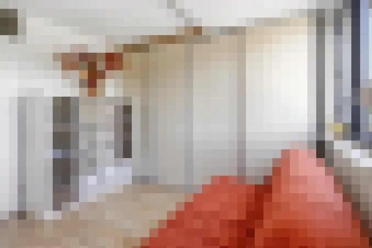 Vlaemsche Hoeve 132 Vlijmen thumbnail 23
