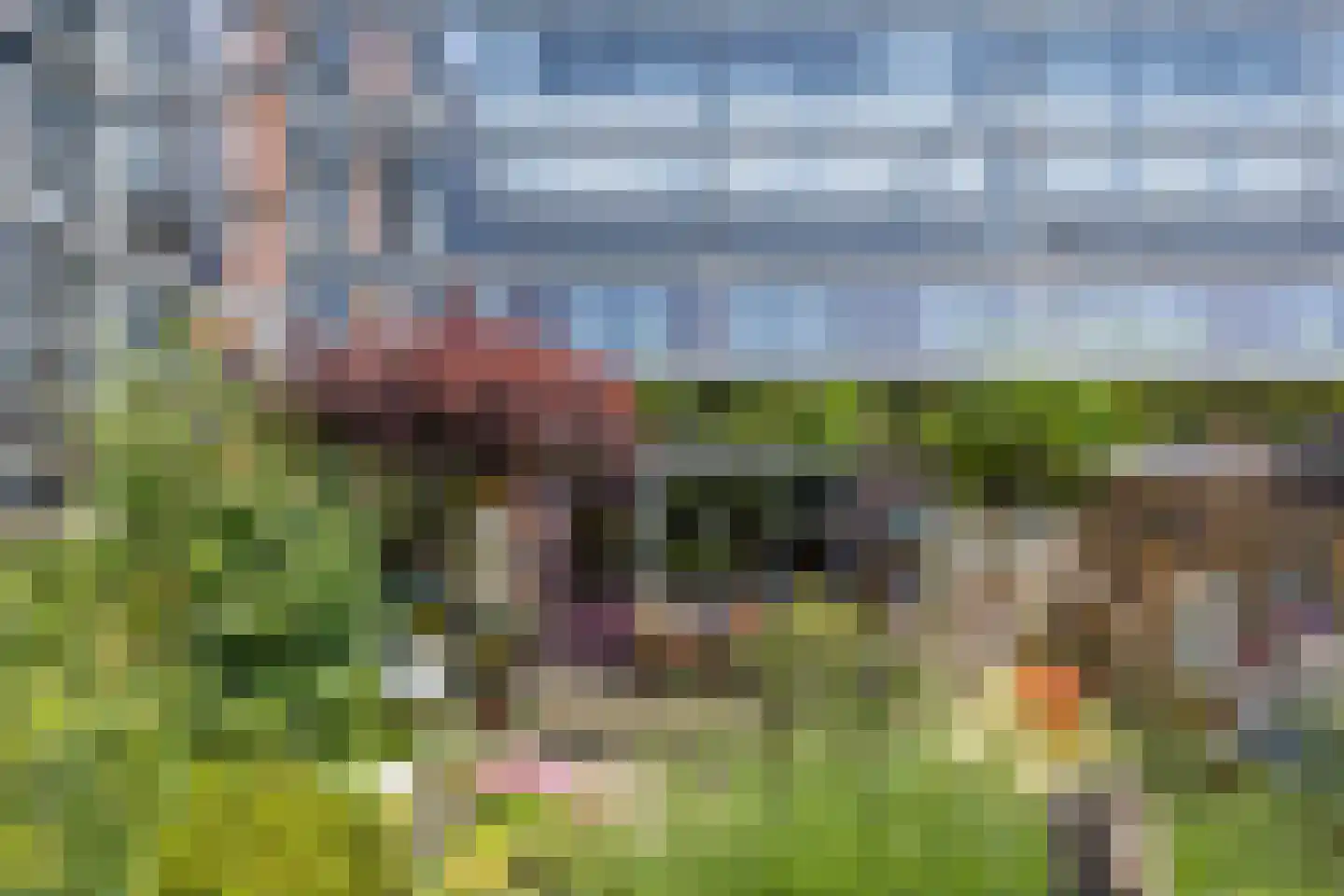 Vlaemsche Hoeve 132 Vlijmen thumbnail 30