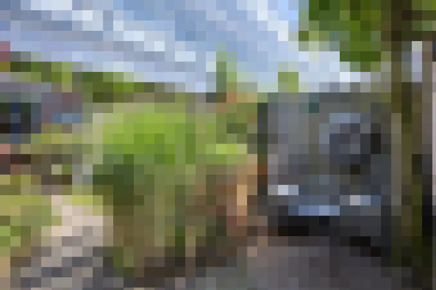 Vlaemsche Hoeve 132 Vlijmen thumbnail 31