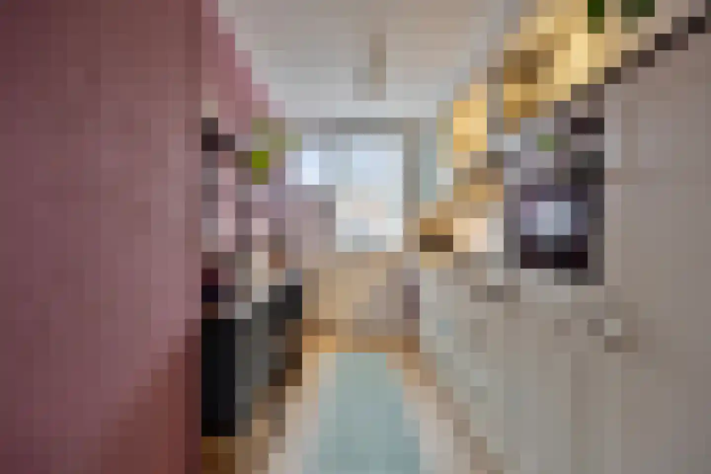 Vlaemsche Hoeve 138 Vlijmen thumbnail 12