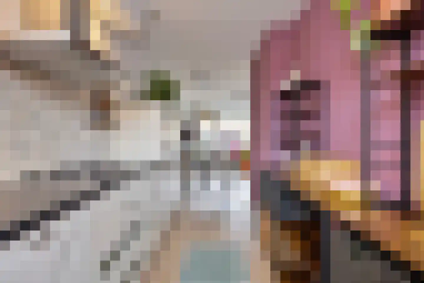 Vlaemsche Hoeve 138 Vlijmen thumbnail 13