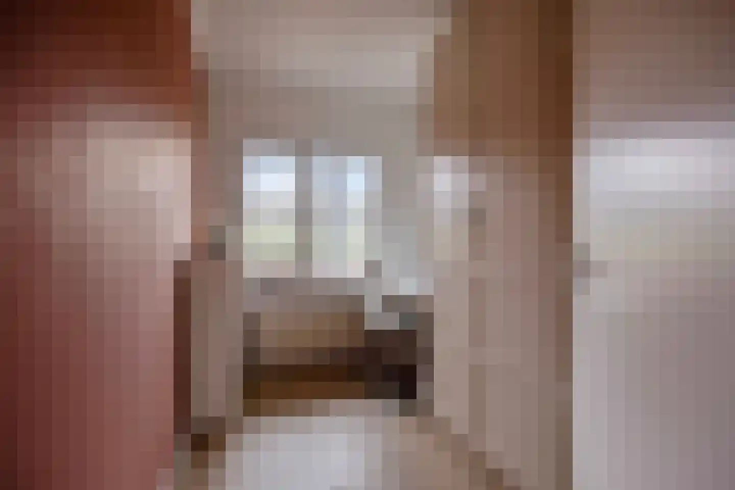 Vlaemsche Hoeve 138 Vlijmen thumbnail 23