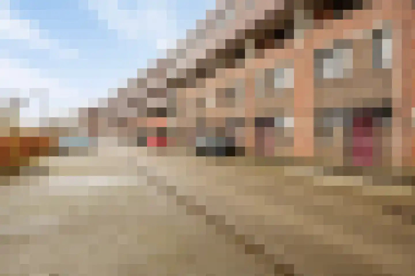 Vlaemsche Hoeve 138 Vlijmen thumbnail 31