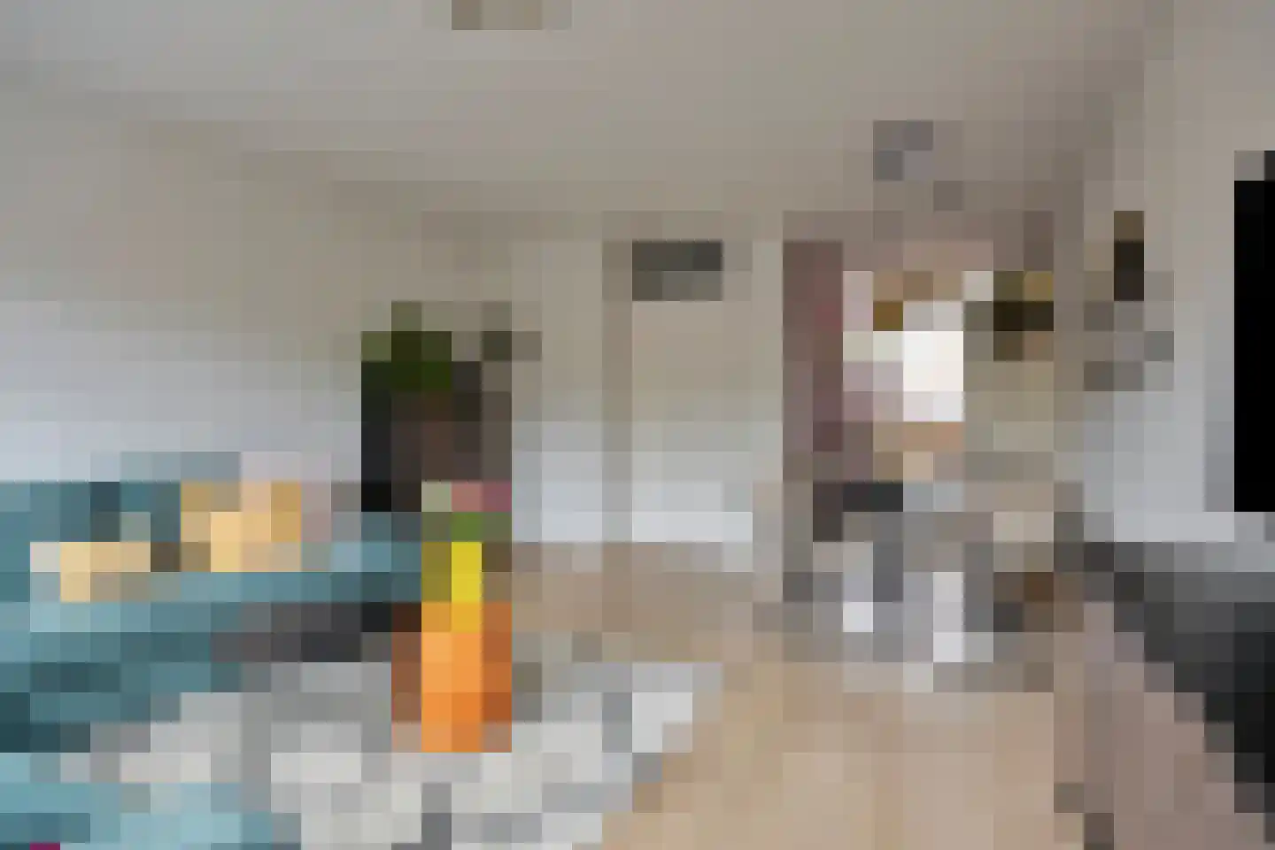 Vlaemsche Hoeve 138 Vlijmen thumbnail 9