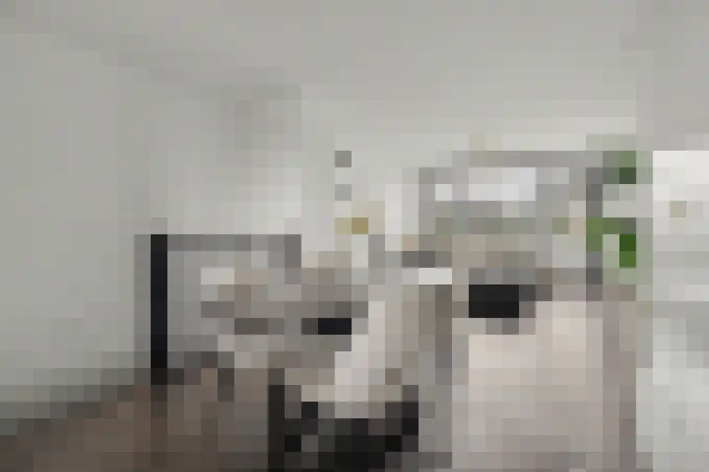 Vlaemsche Hoeve 148 Vlijmen thumbnail 11