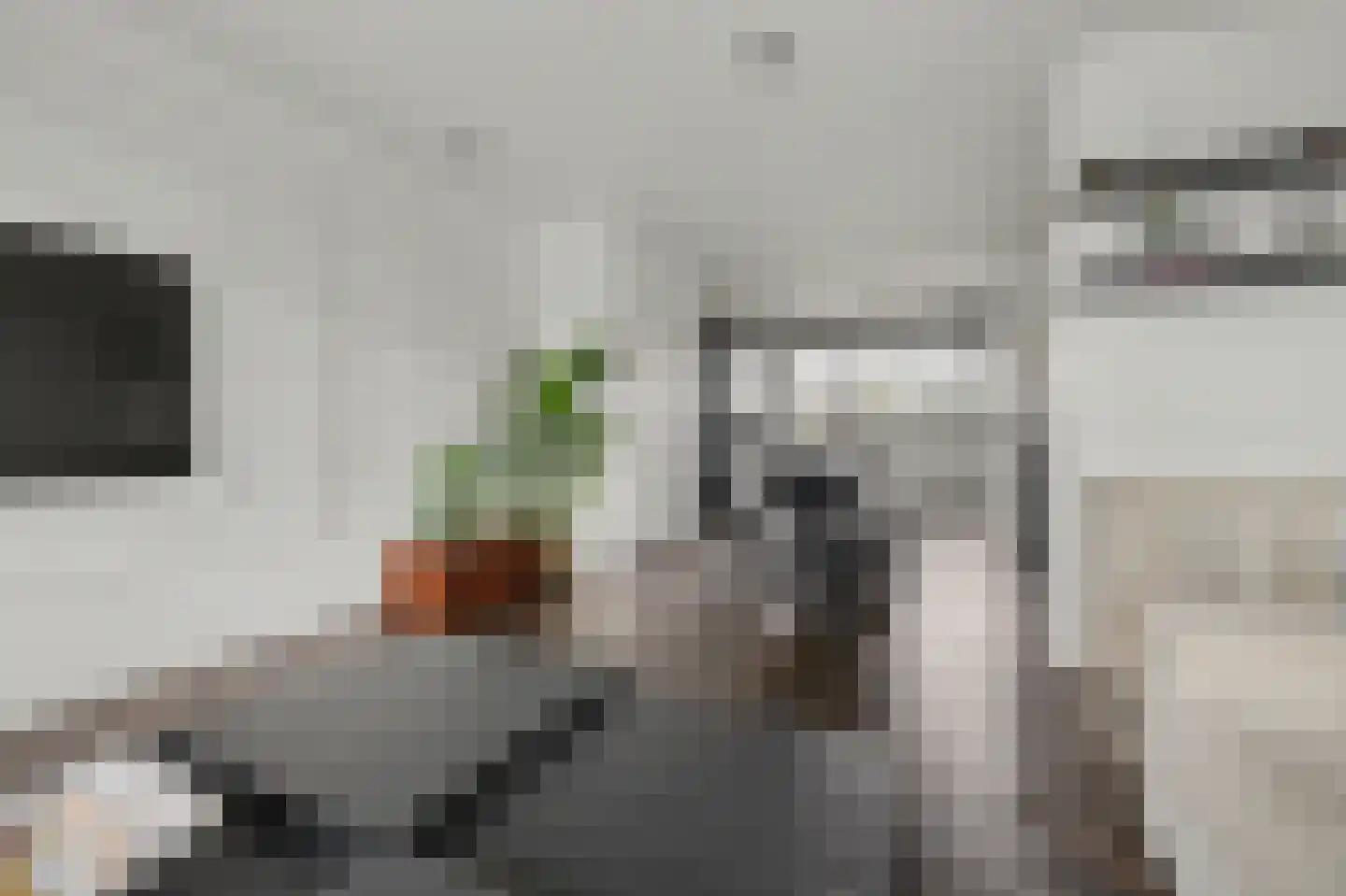 Vlaemsche Hoeve 148 Vlijmen thumbnail 17