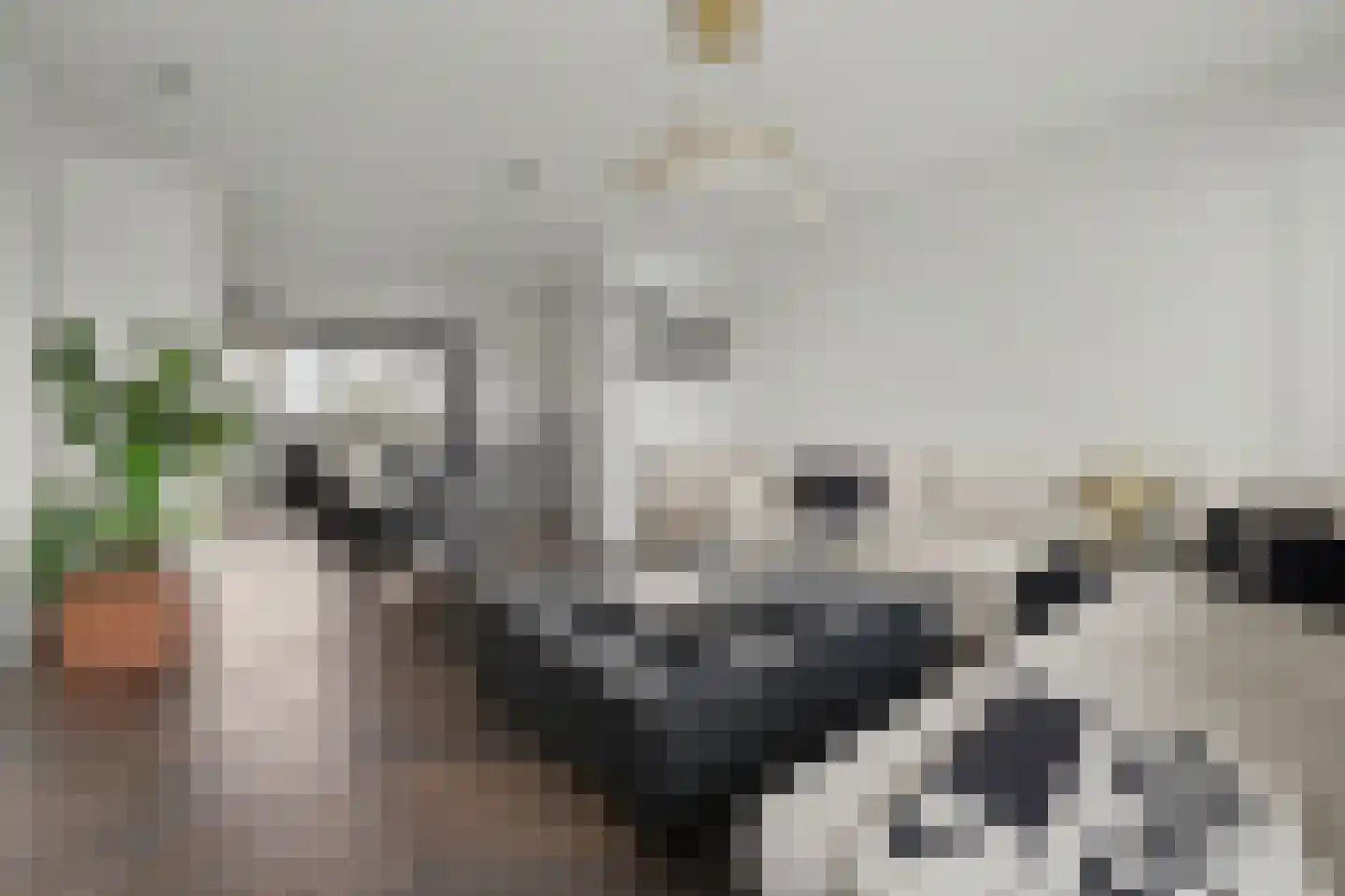 Vlaemsche Hoeve 148 Vlijmen thumbnail 18