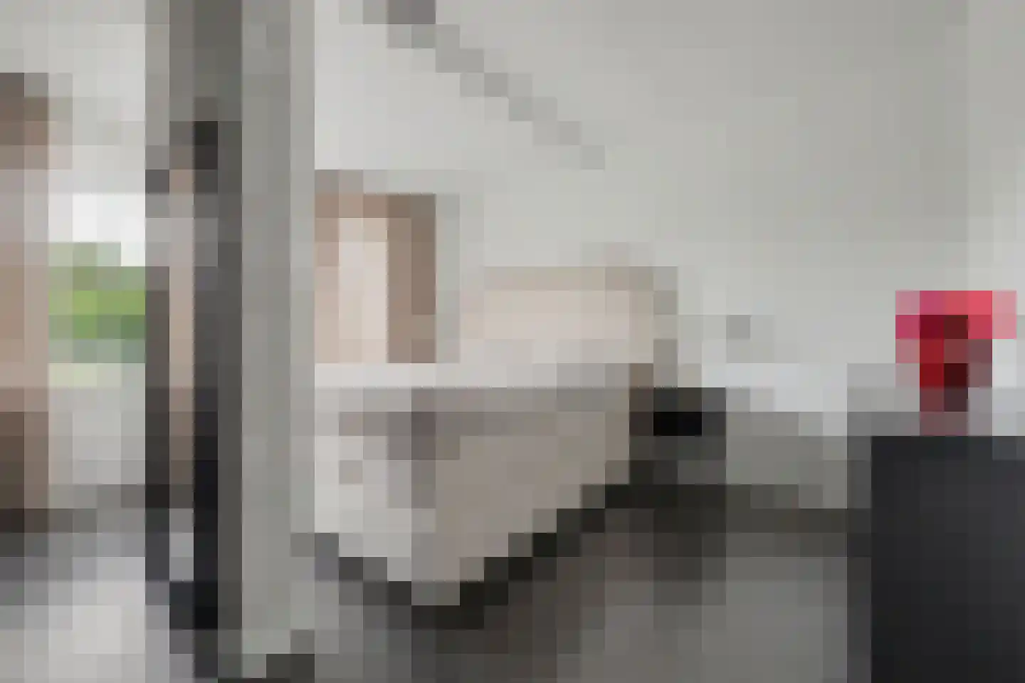 Vlaemsche Hoeve 148 Vlijmen thumbnail 23