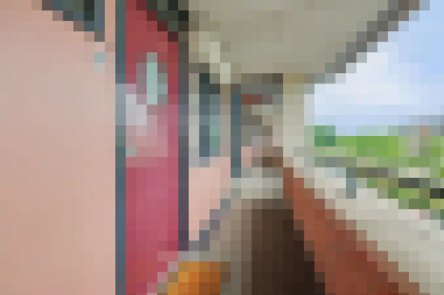 Vlaemsche Hoeve 148 Vlijmen thumbnail 36