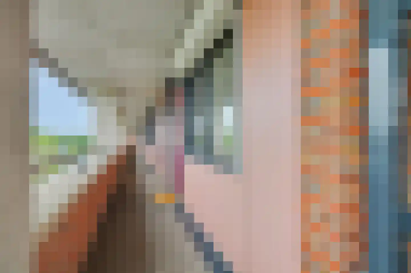 Vlaemsche Hoeve 148 Vlijmen thumbnail 37