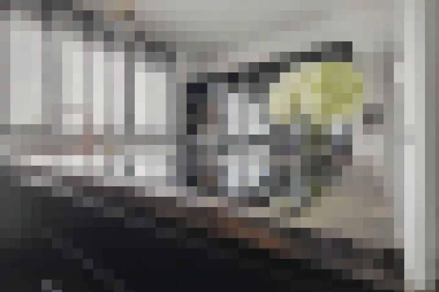Vlaemsche Hoeve 148 Vlijmen thumbnail 8