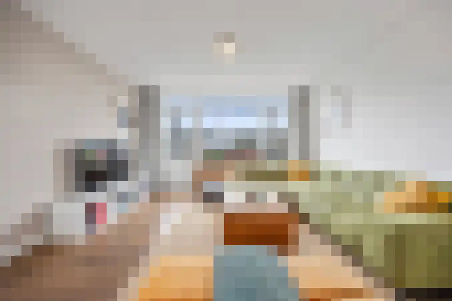 Vlaemsche Hoeve 154 Vlijmen thumbnail 16