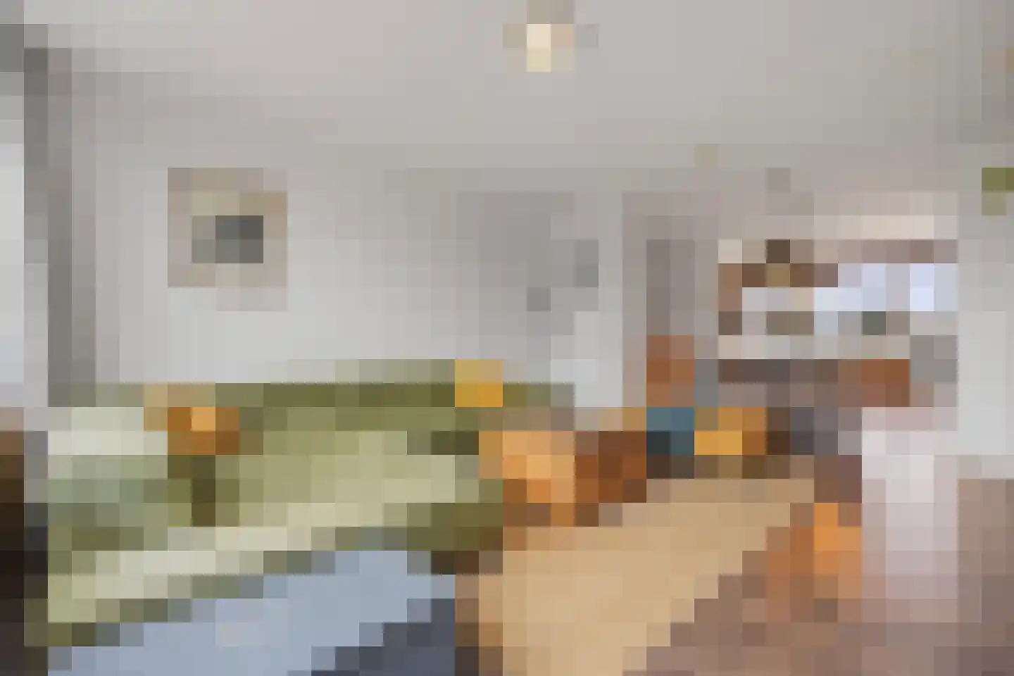 Vlaemsche Hoeve 154 Vlijmen thumbnail 20