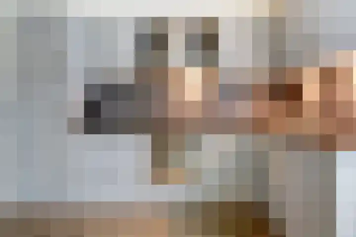 Vlaemsche Hoeve 17 Vlijmen thumbnail 11