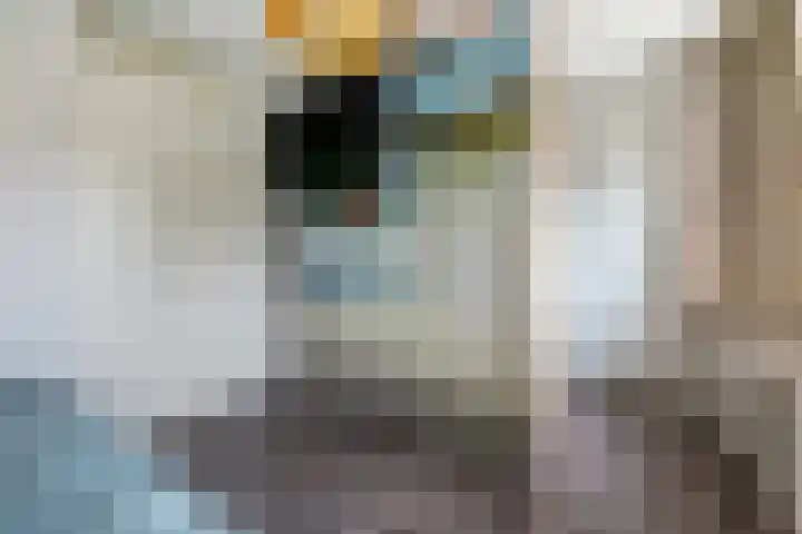 Vlaemsche Hoeve 17 Vlijmen thumbnail 17
