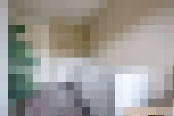 Vlaemsche Hoeve 17 Vlijmen thumbnail 19
