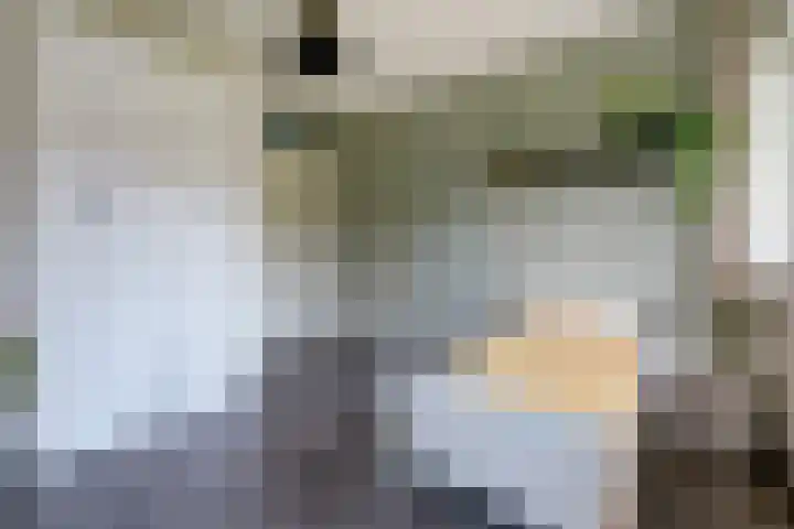 Vlaemsche Hoeve 17 Vlijmen thumbnail 20