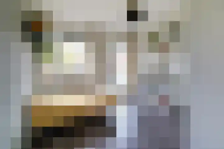 Vlaemsche Hoeve 17 Vlijmen thumbnail 21