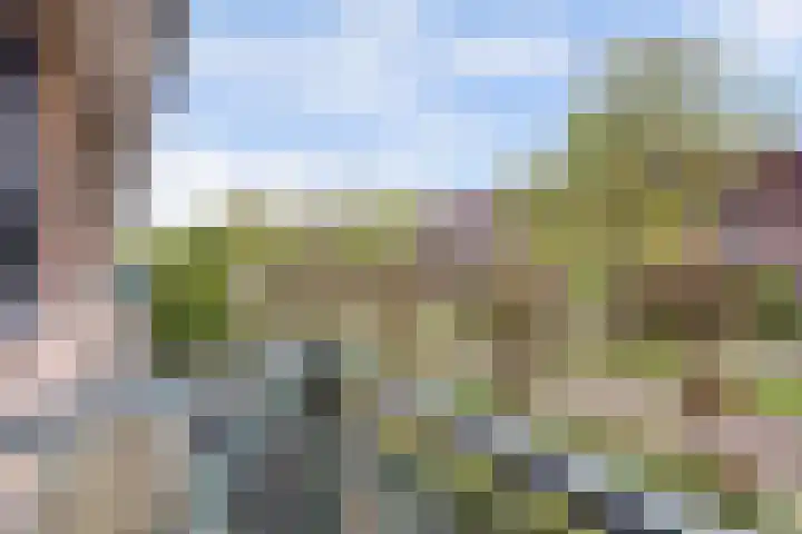 Vlaemsche Hoeve 17 Vlijmen thumbnail 23