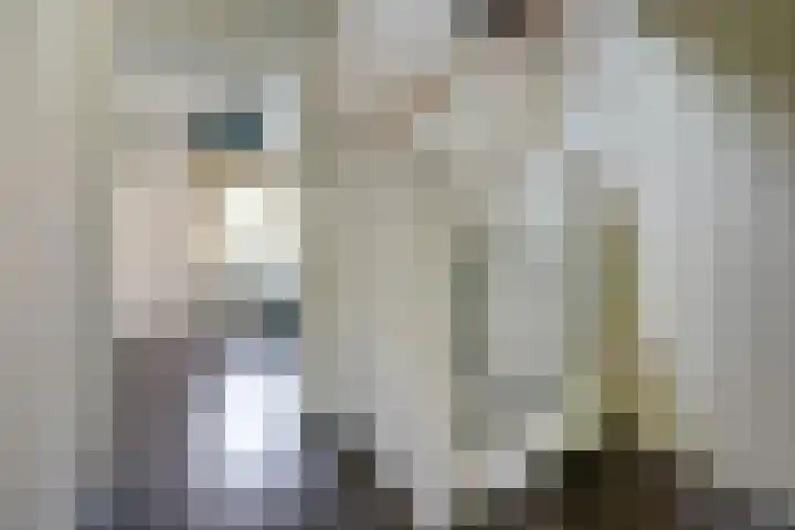 Vlaemsche Hoeve 17 Vlijmen thumbnail 27