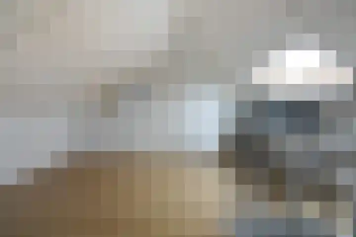Vlaemsche Hoeve 17 Vlijmen thumbnail 30
