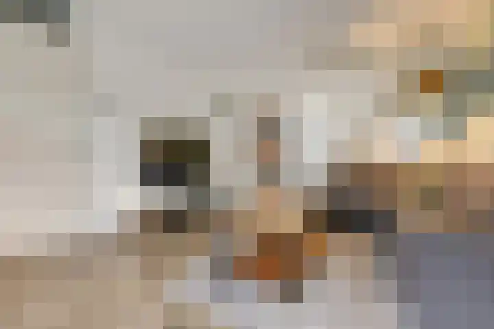 Vlaemsche Hoeve 17 Vlijmen thumbnail 4